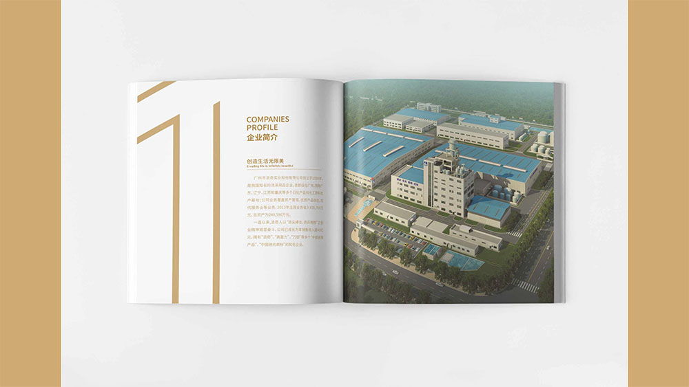洗涤用品企业纪念册设计,集团纪念册设计公司