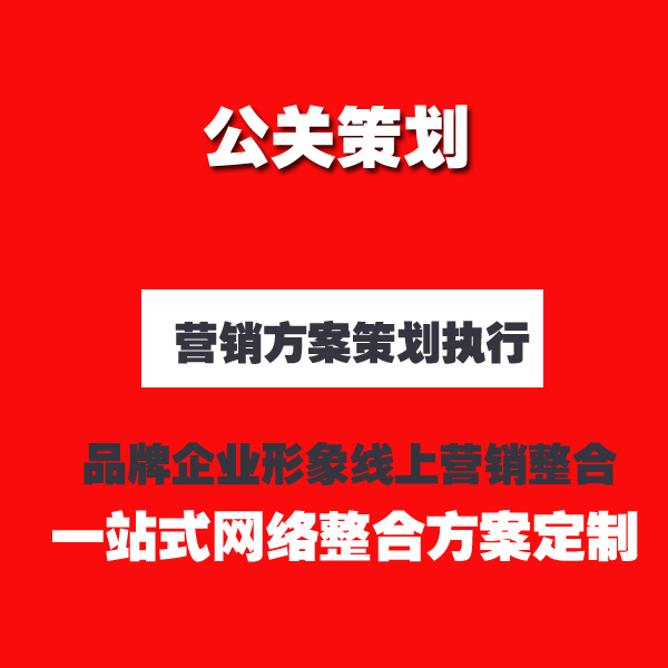 企业品牌策划方案