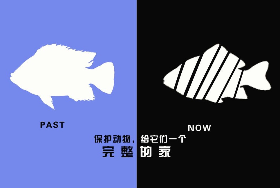 广告设计制作有哪些要求？有哪些注意事项？