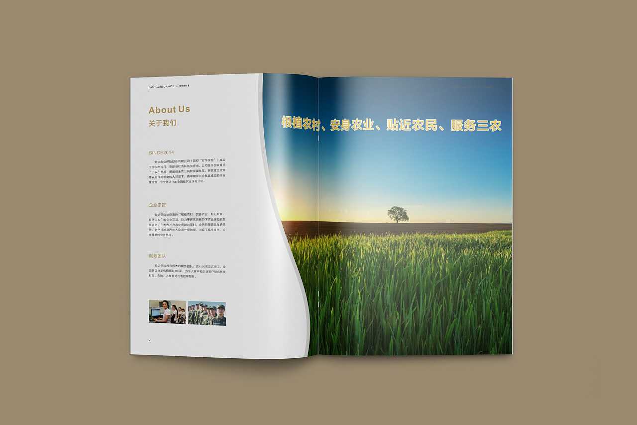 成都企业为什么要选择高端宣传册设计公司呢？