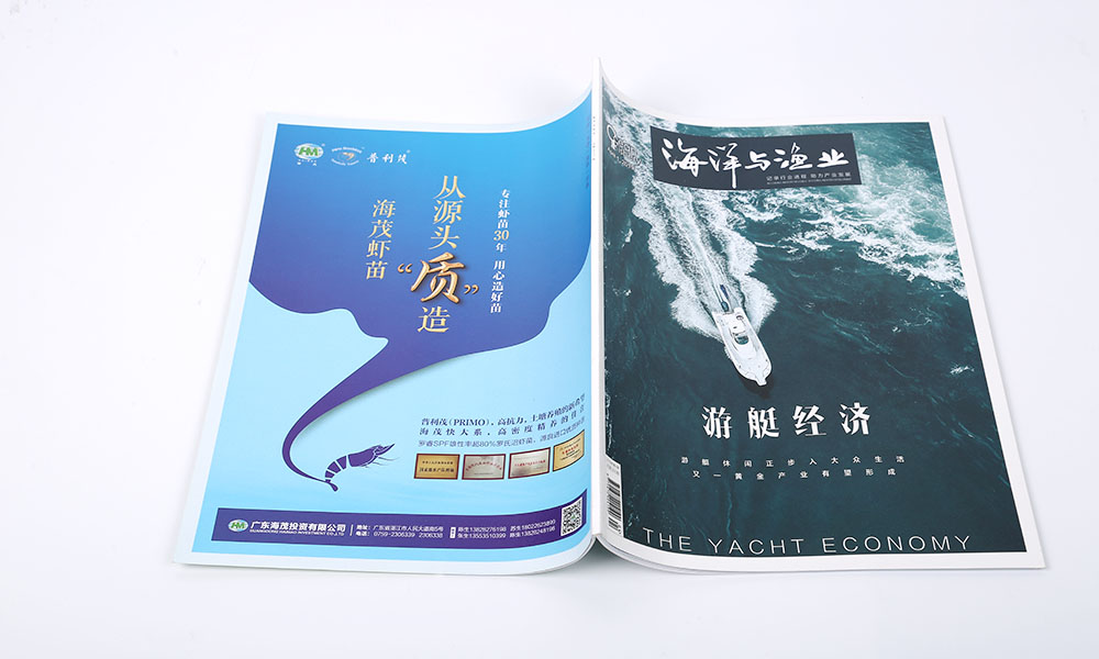 设计画册价格比较划算？